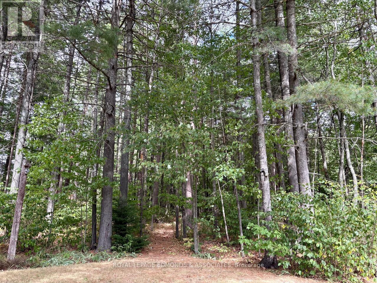 












19 SELLEY STREET

,
Petawawa,




Ontario
K8H3G9

