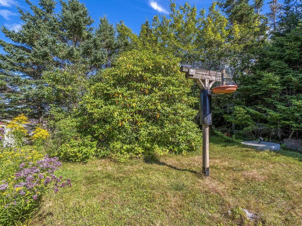 












369 Sambro Creek Road

,
Sambro Creek,




NS
B3V 1E9

