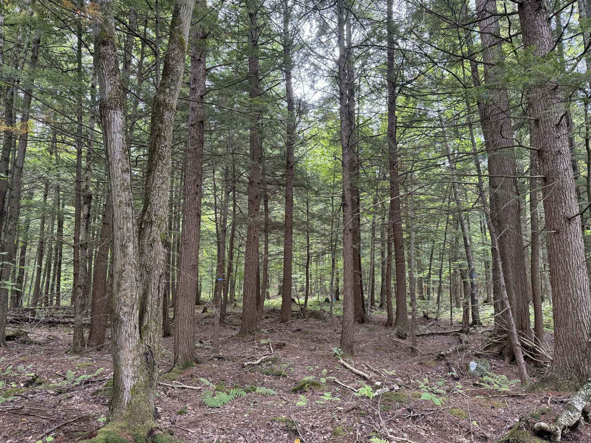 












Rue Lachance

,
Magog,







QC
J1X0M7

