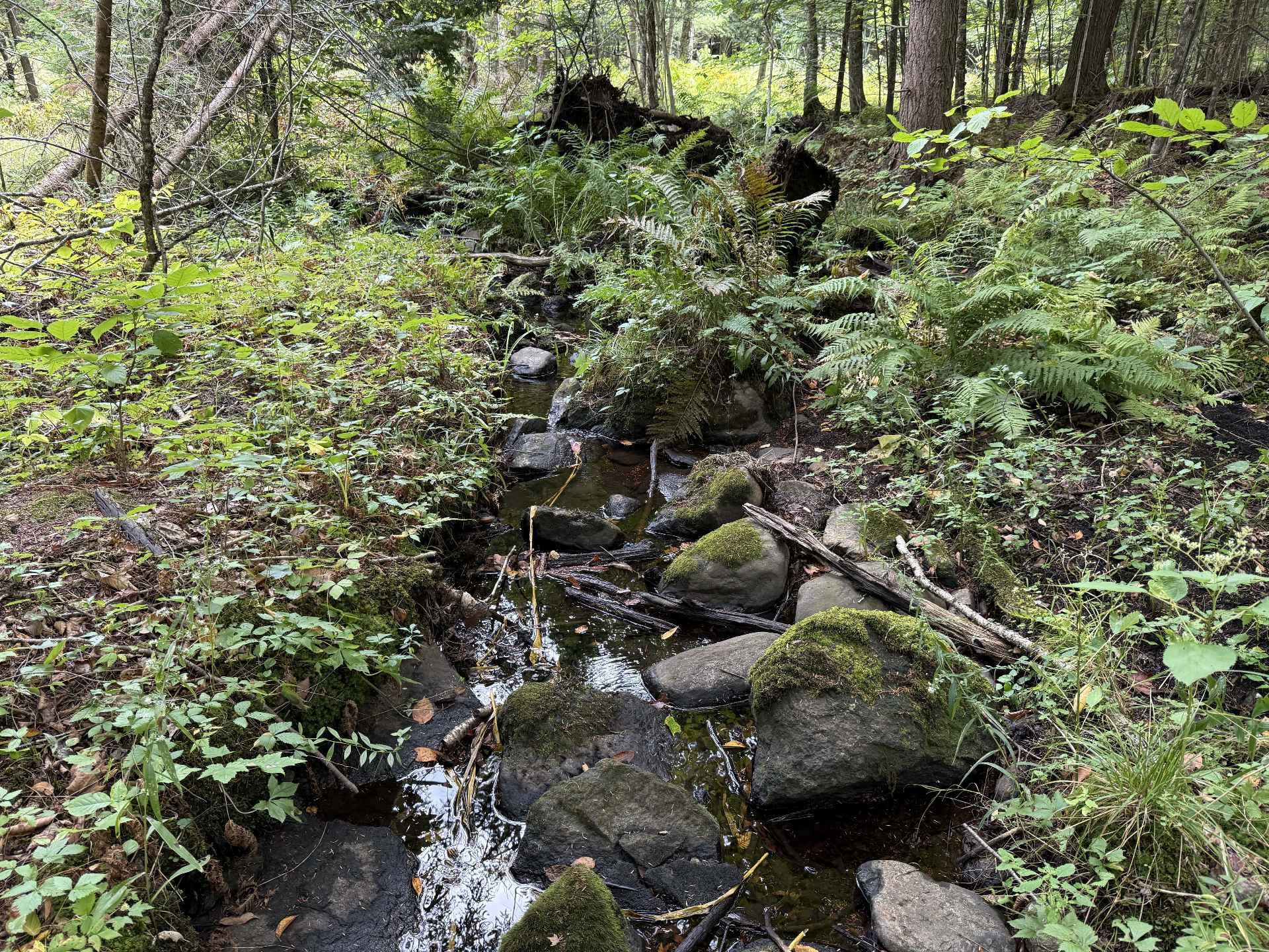 












Rue Lachance

,
Magog,







QC
J1X0M7

