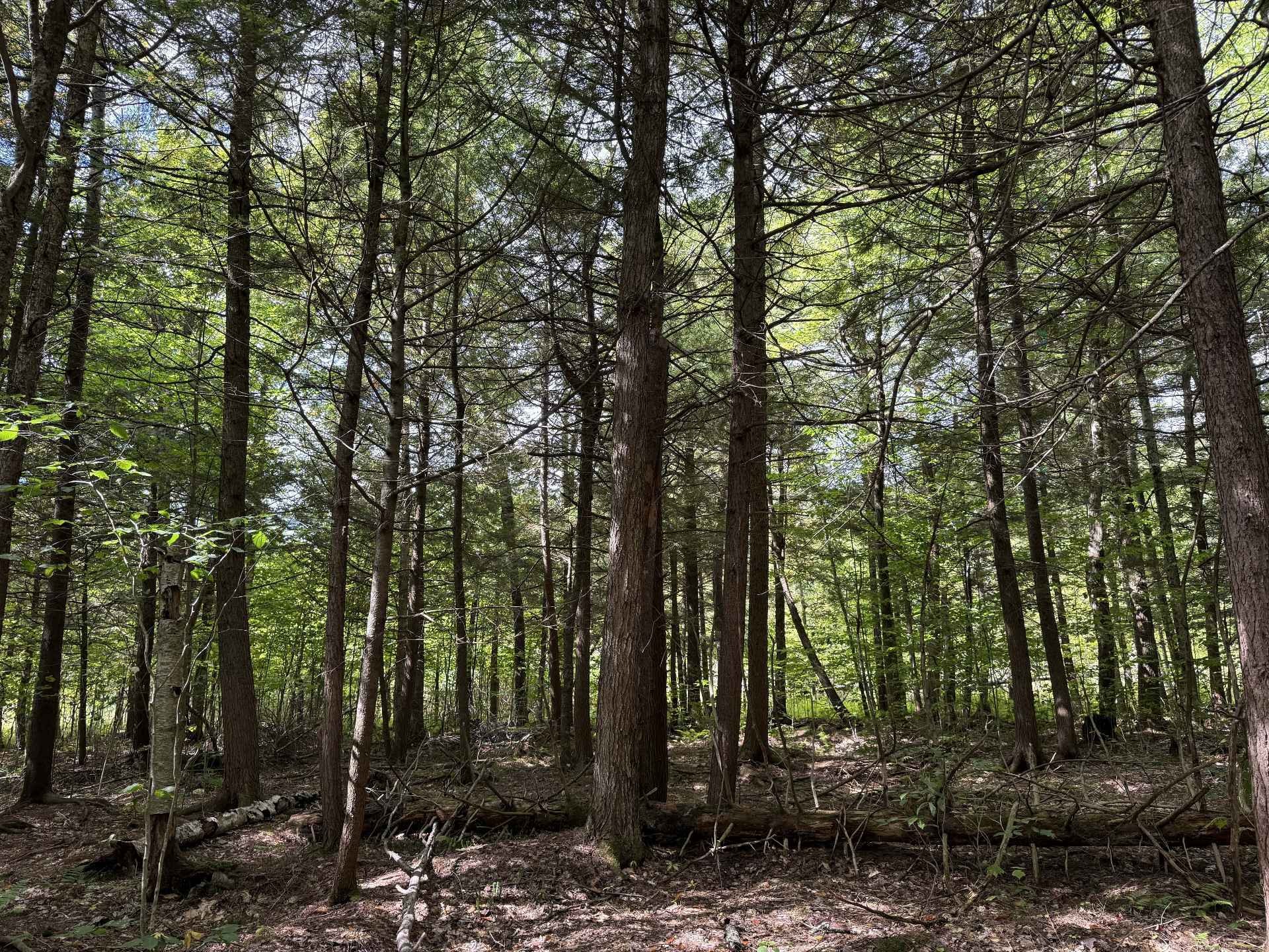 












Rue Lachance

,
Magog,







QC
J1X0M7

