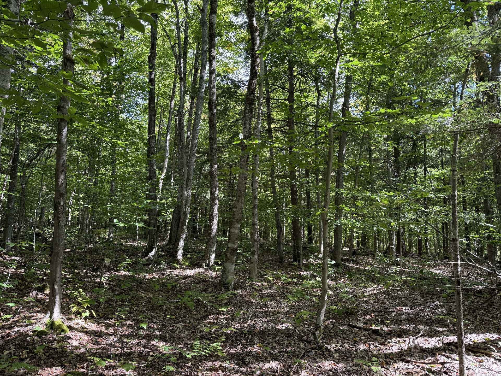 












Rue Lachance

,
Magog,







QC
J1X0M7

