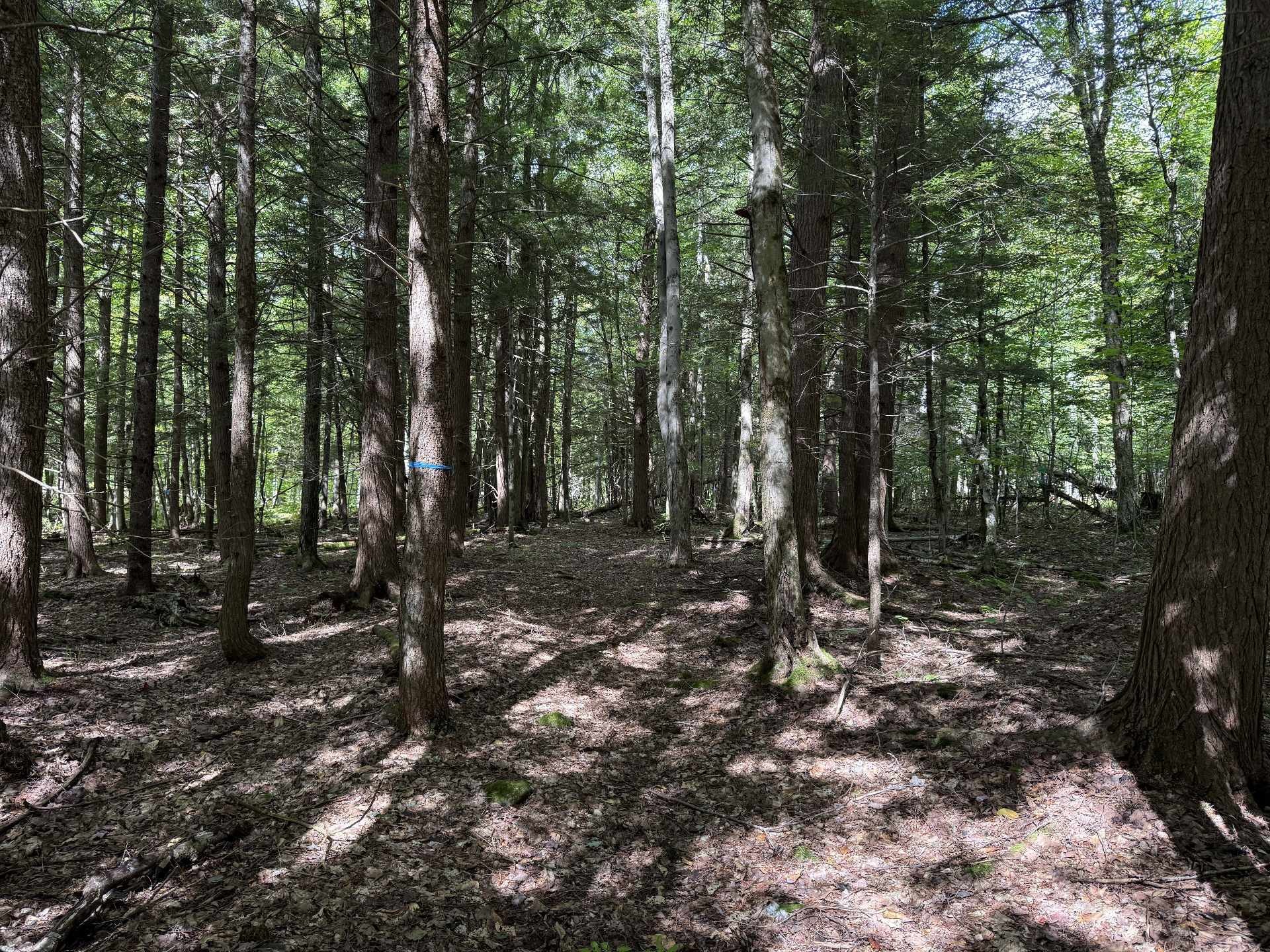 












Rue Lachance

,
Magog,







QC
J1X0M7

