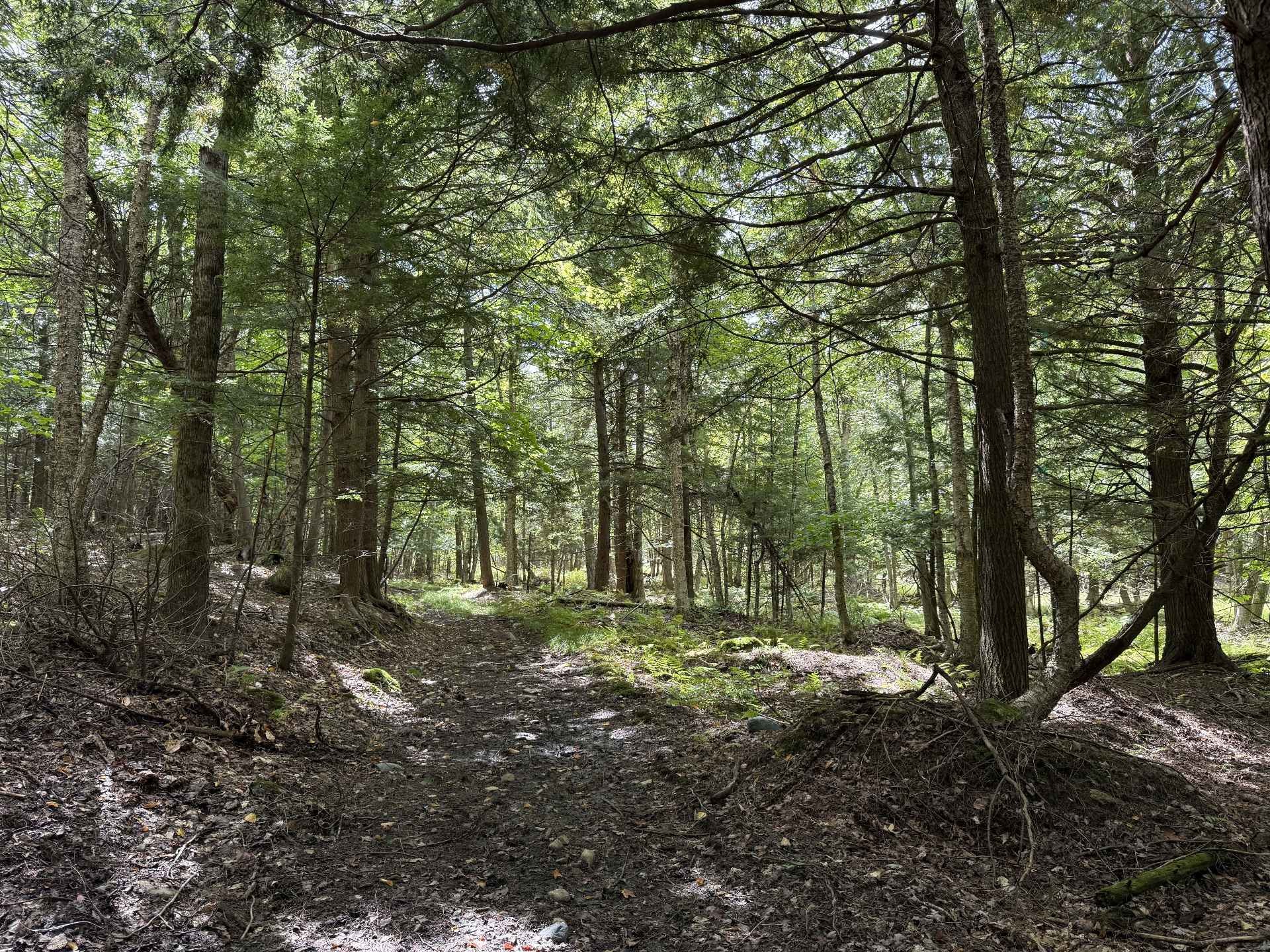 












Rue Lachance

,
Magog,







QC
J1X0M7

