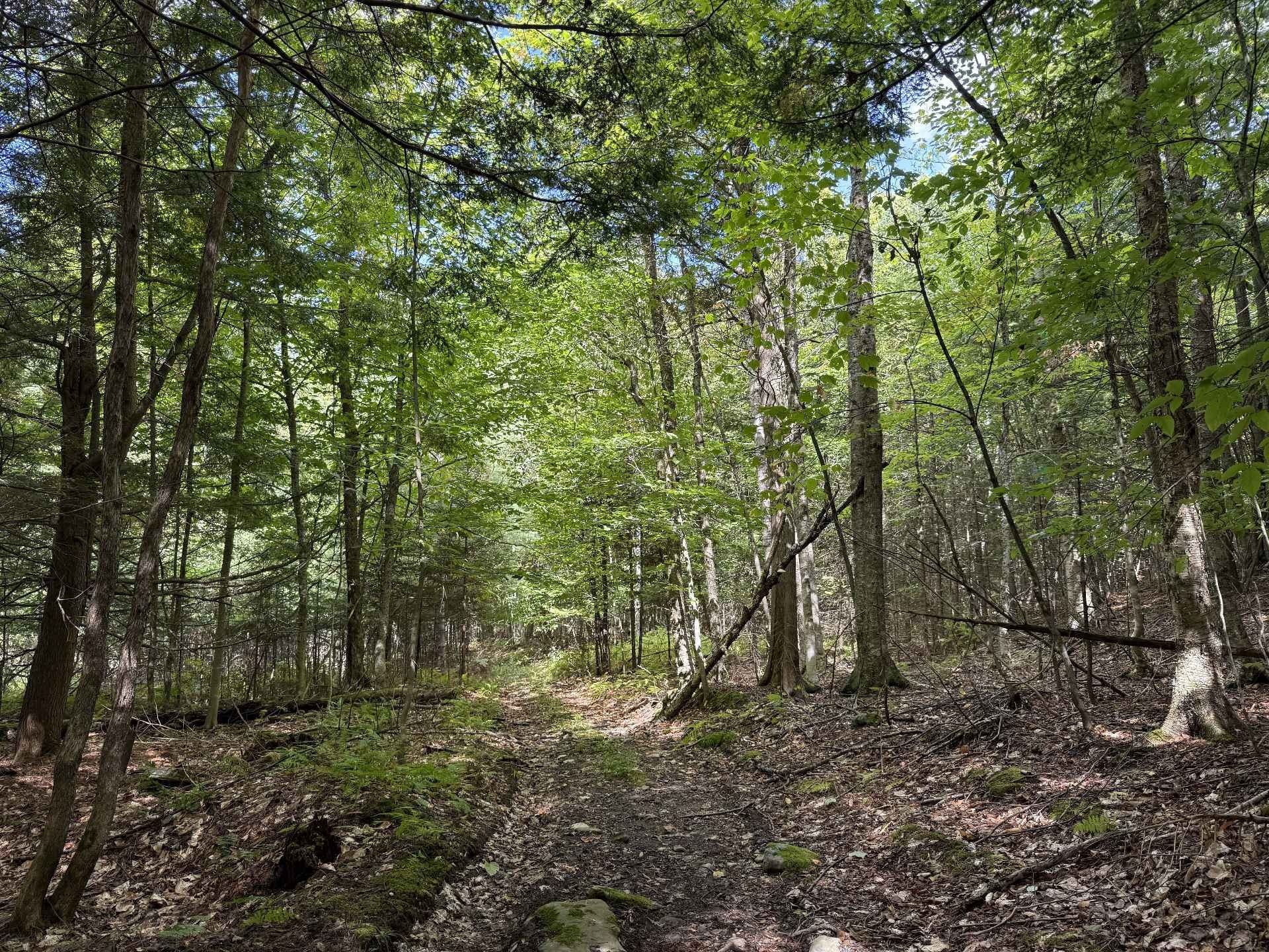 












Rue Lachance

,
Magog,







QC
J1X0M7

