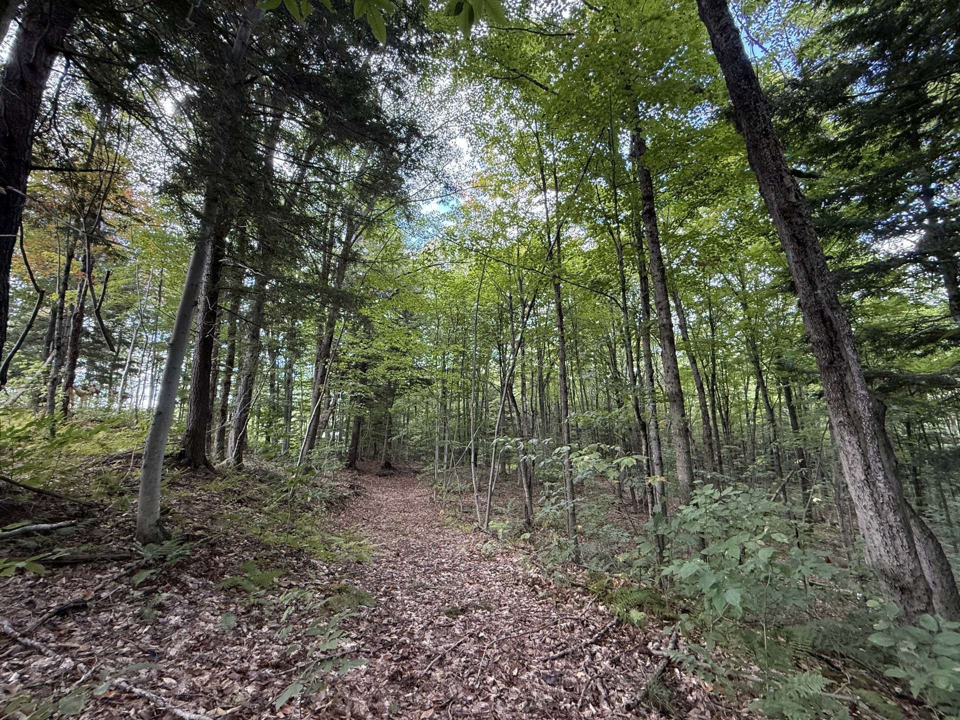 












Rue Lachance

,
Magog,







QC
J1X0M7

