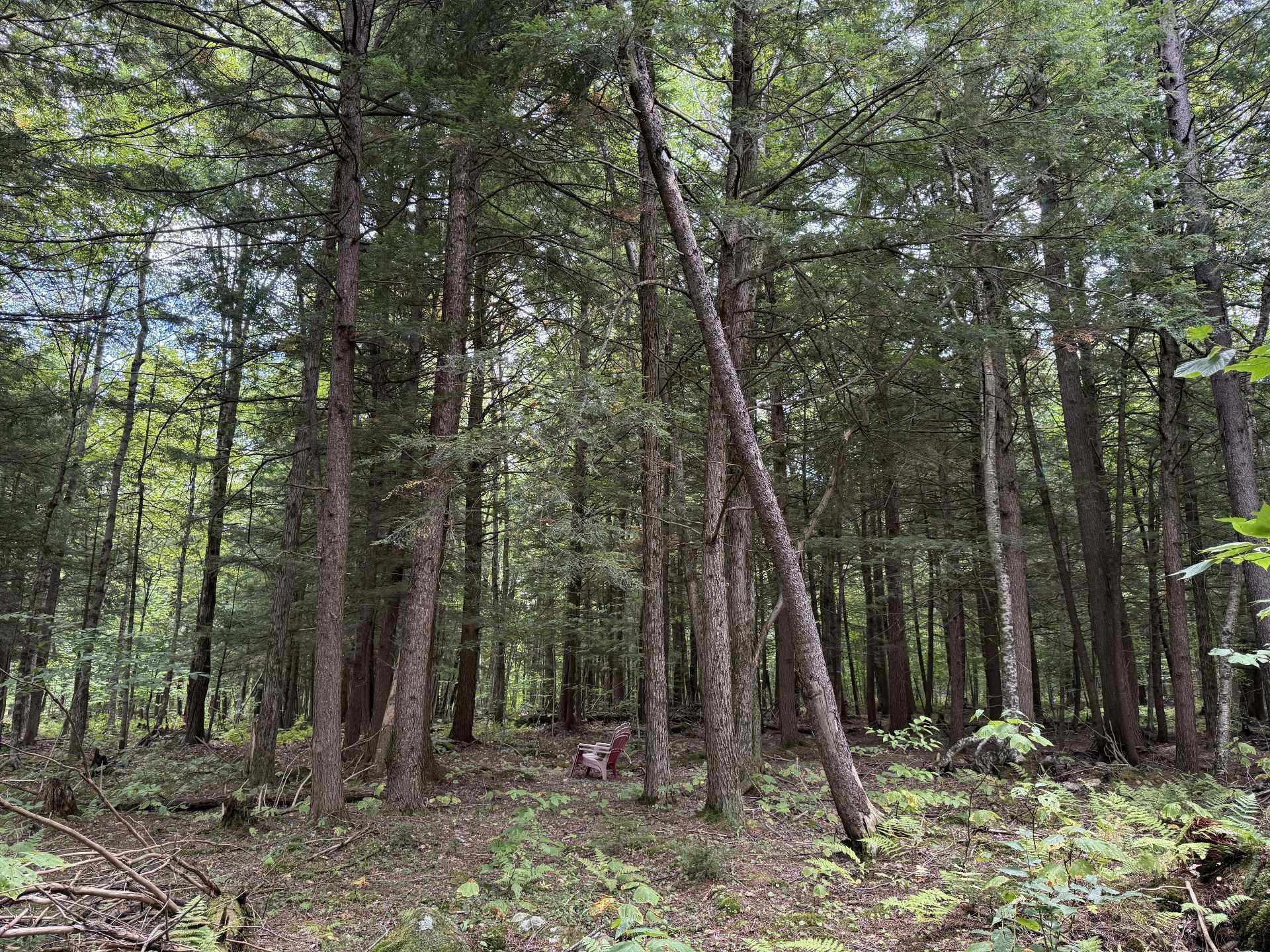 












Rue Lachance

,
Magog,







QC
J1X0M7

