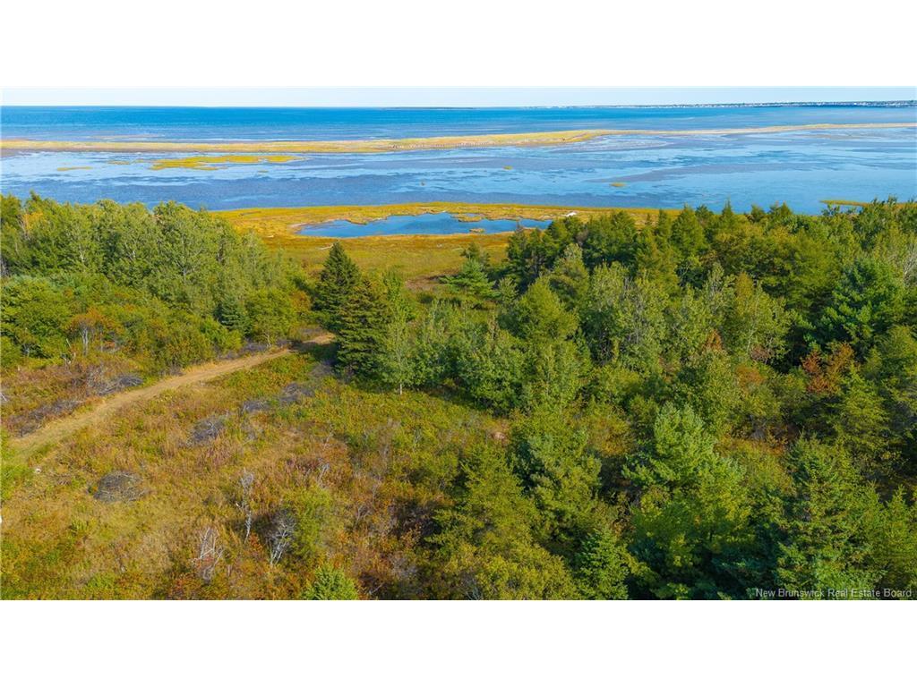 









Lot


Olivier

RD,
Maisonnette,







NB
E8N 2A2

