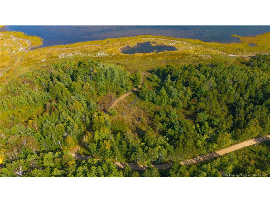 









Lot


Olivier

RD,
Maisonnette,







NB
E8N 2A2

