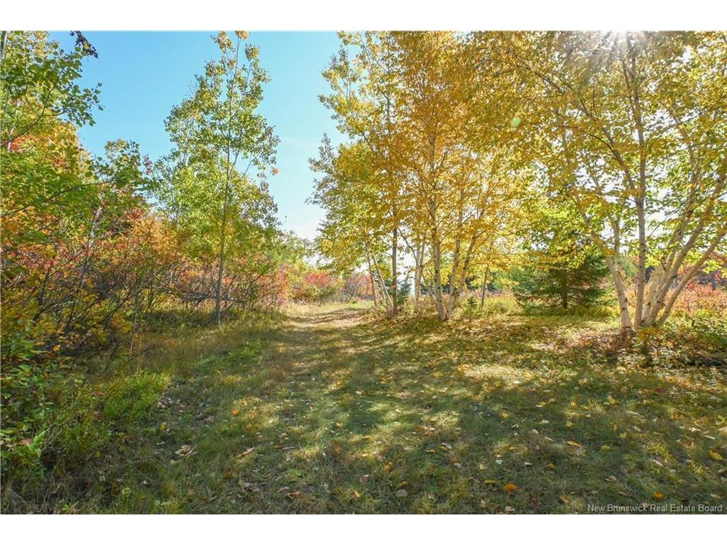 









Lot


Olivier

RD,
Maisonnette,







NB
E8N 2A2

