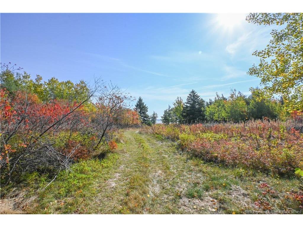 









Lot


Olivier

RD,
Maisonnette,







NB
E8N 2A2

