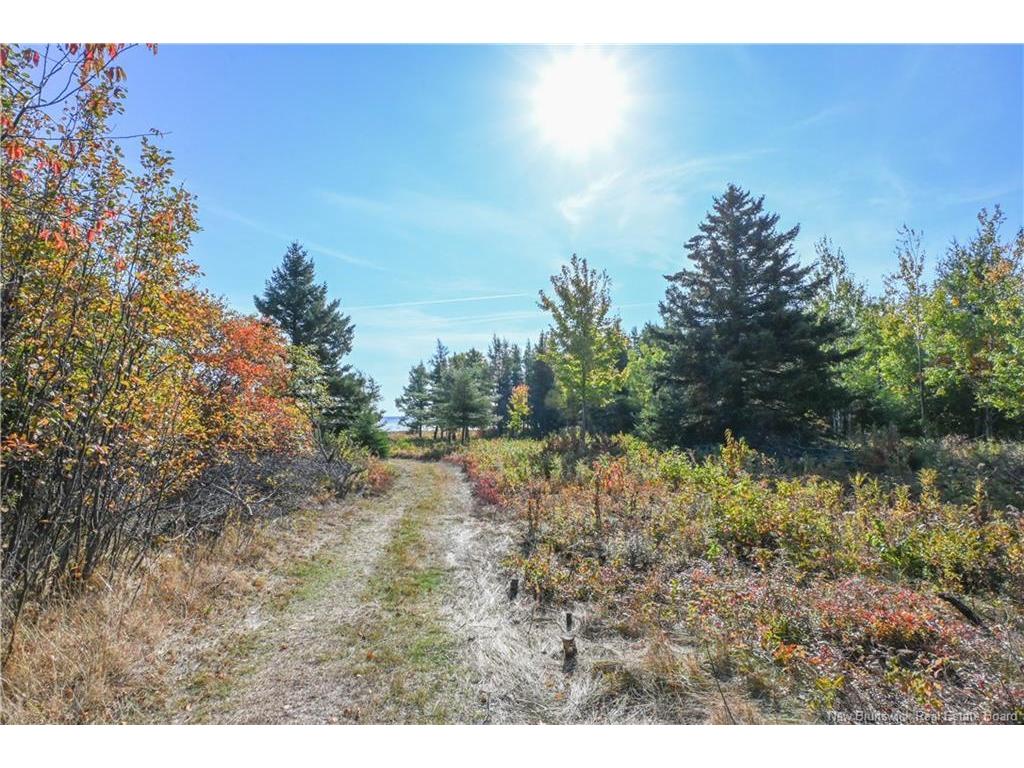 









Lot


Olivier

RD,
Maisonnette,







NB
E8N 2A2

