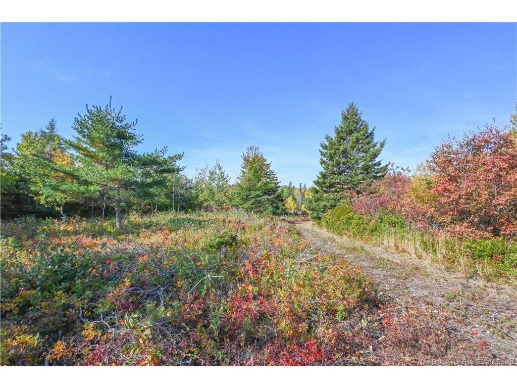 









Lot


Olivier

RD,
Maisonnette,







NB
E8N 2A2

