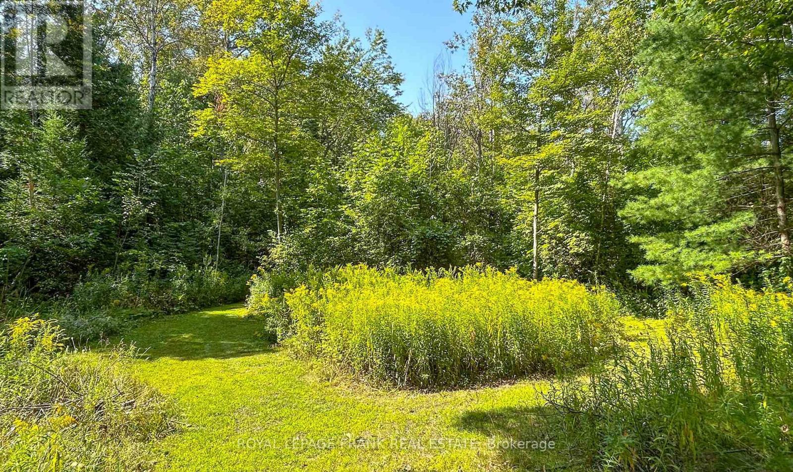 












58 STONE ROAD

,
Trent Hills,




Ontario
K0K3K0

