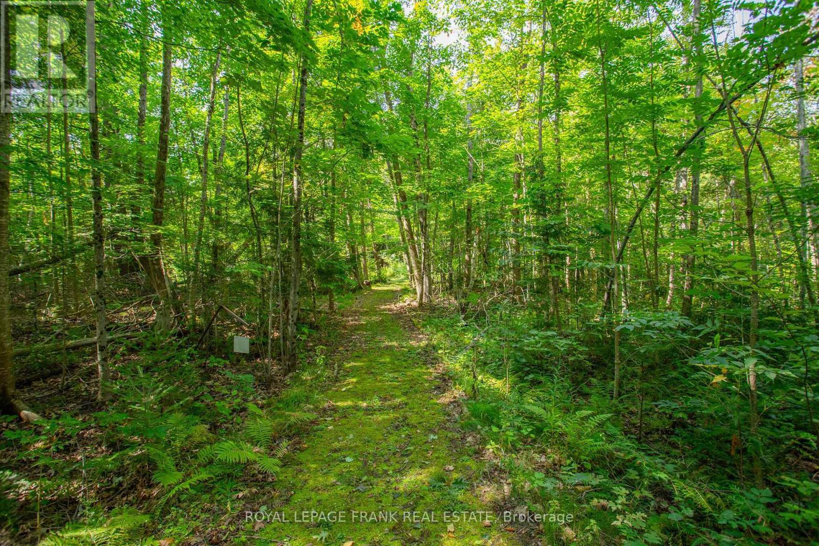 












58 STONE ROAD

,
Trent Hills,




Ontario
K0K3K0

