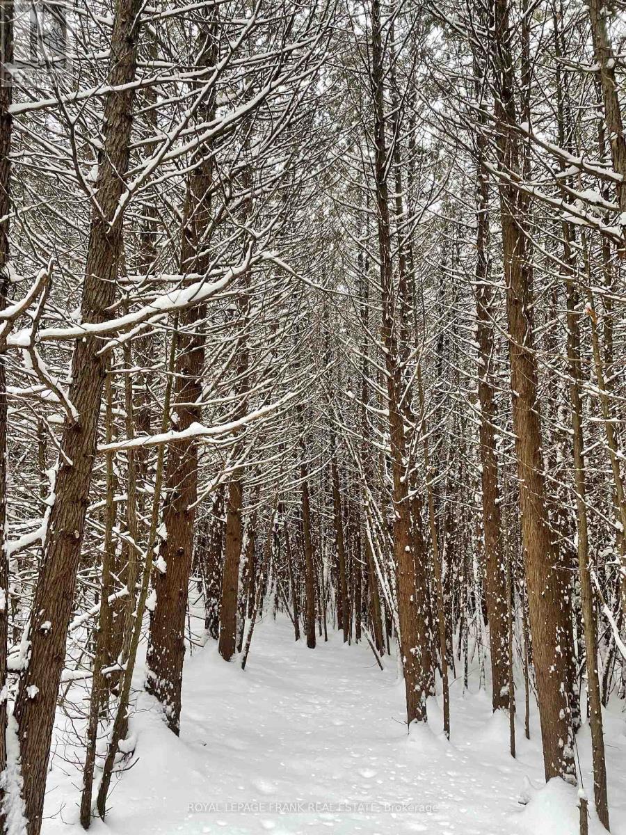












58 STONE ROAD

,
Trent Hills,




Ontario
K0K3K0

