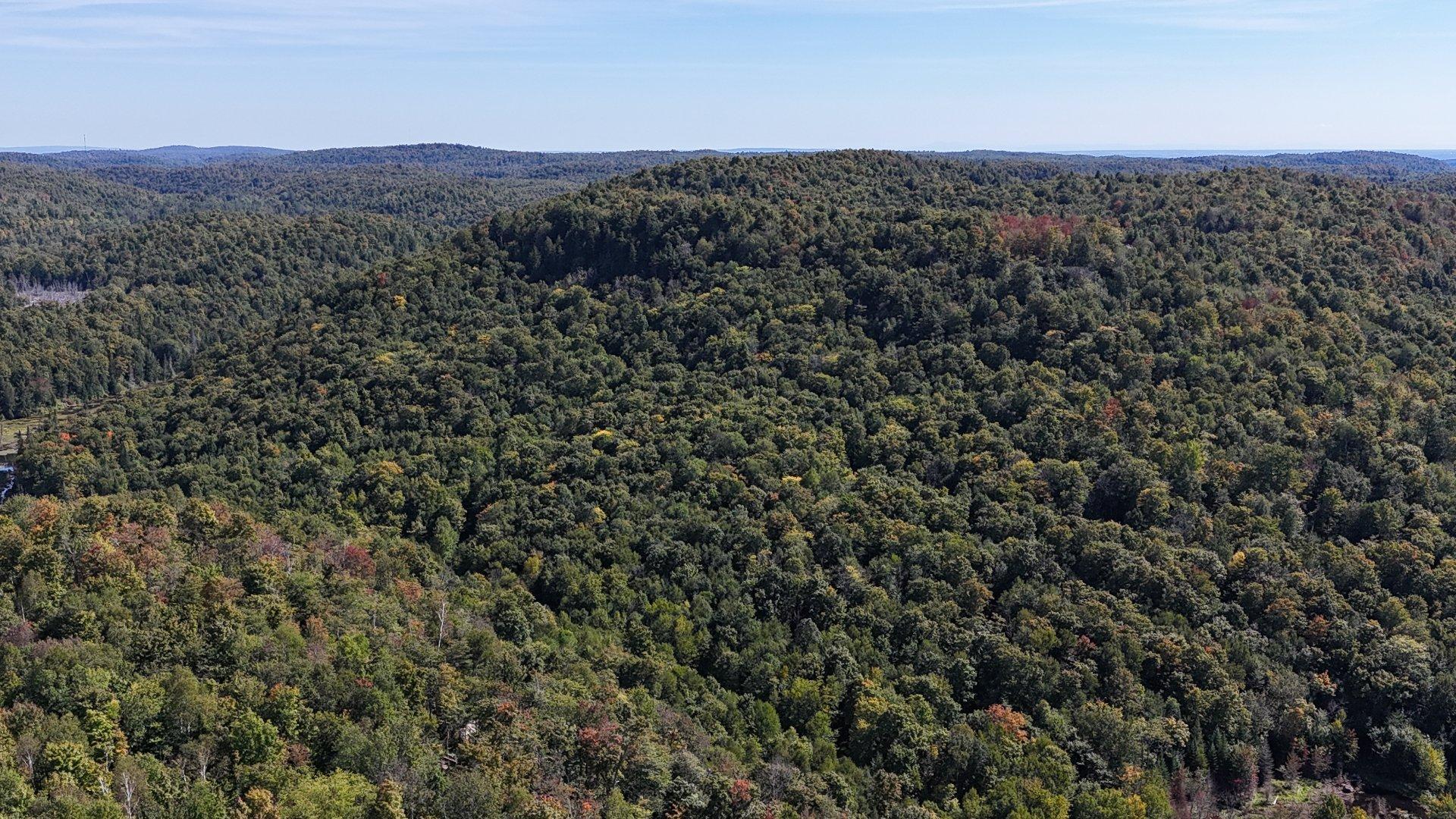 












Ch. de la Héronnière

,
Grenville-sur-la-Rouge,







QC
J0V1B0

