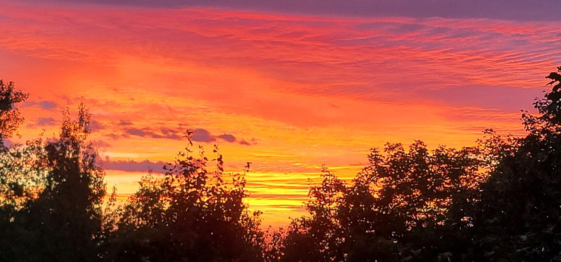 












Ch. des Hiboux

,
Mont-Blanc,







QC
J0T2G0

