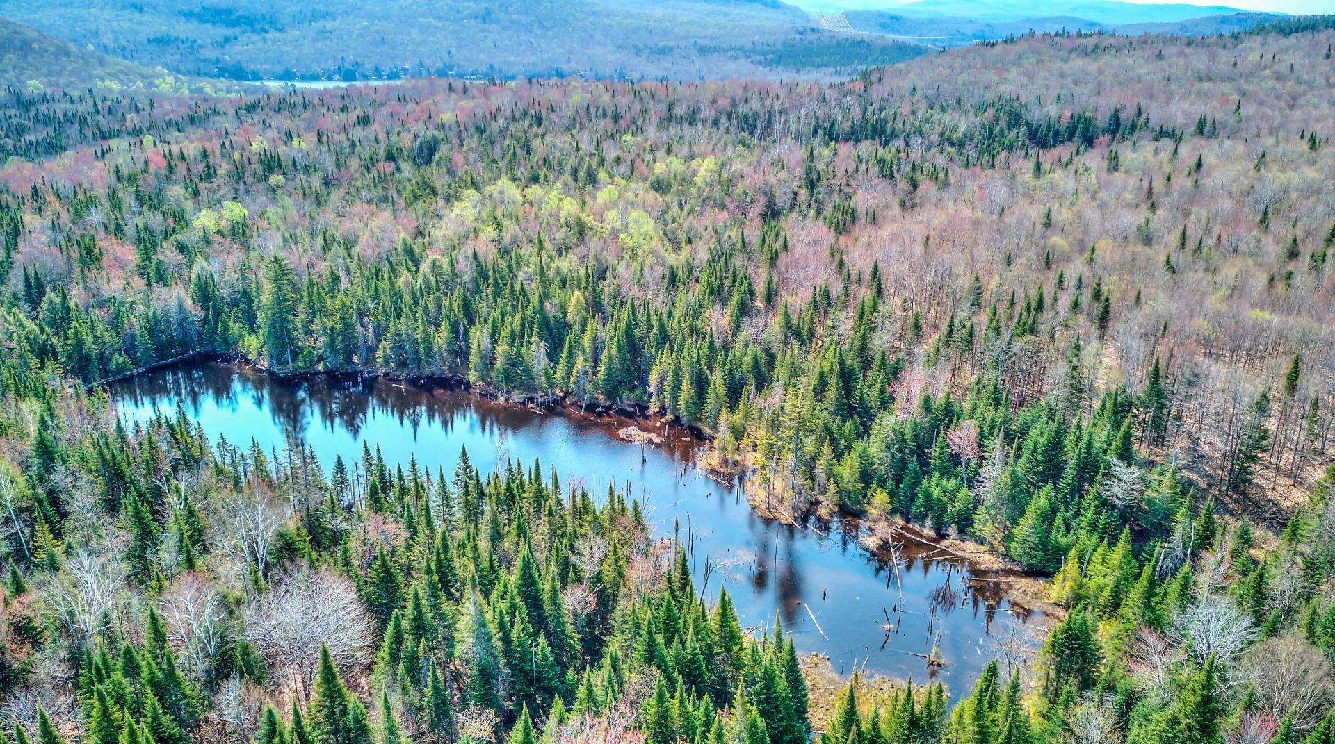 












Ch. des Hiboux

,
Mont-Blanc,







QC
J0T2G0

