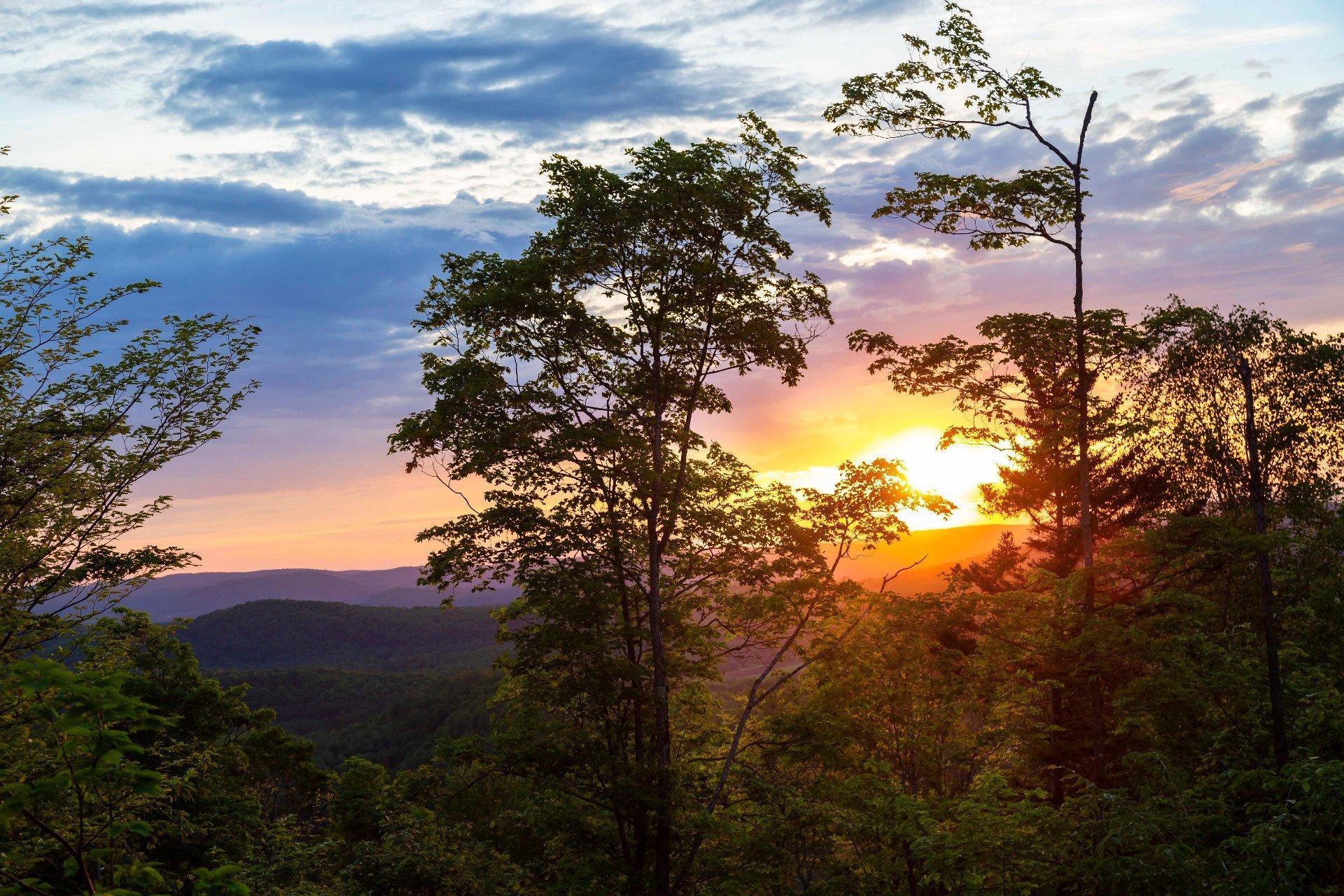 












Ch. des Hiboux

,
Mont-Blanc,







QC
J0T2G0

