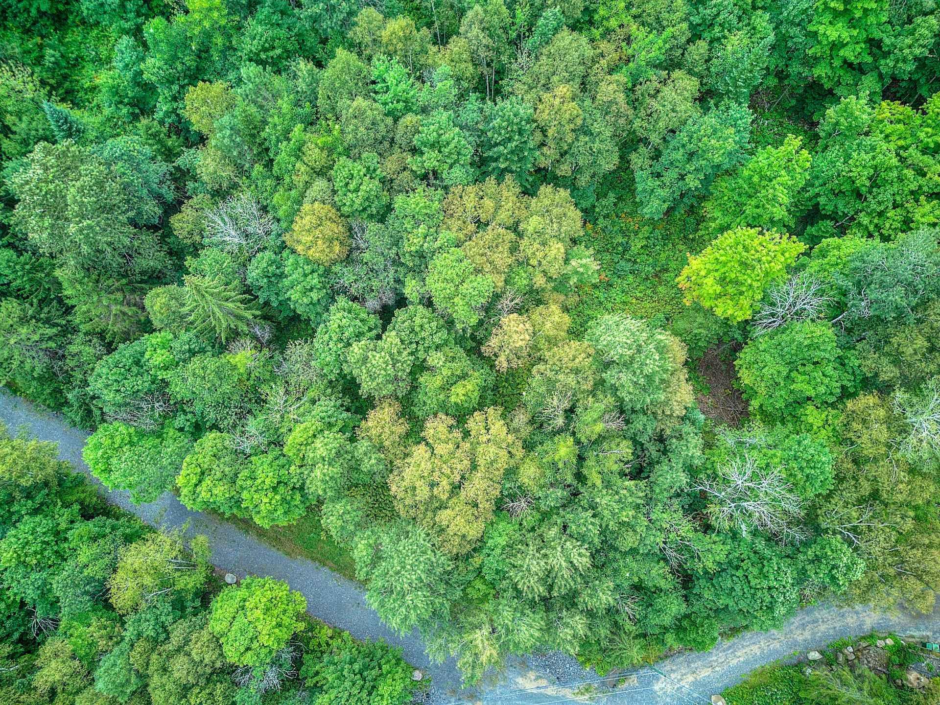 












Ch. des Hiboux

,
Mont-Blanc,







QC
J0T2G0

