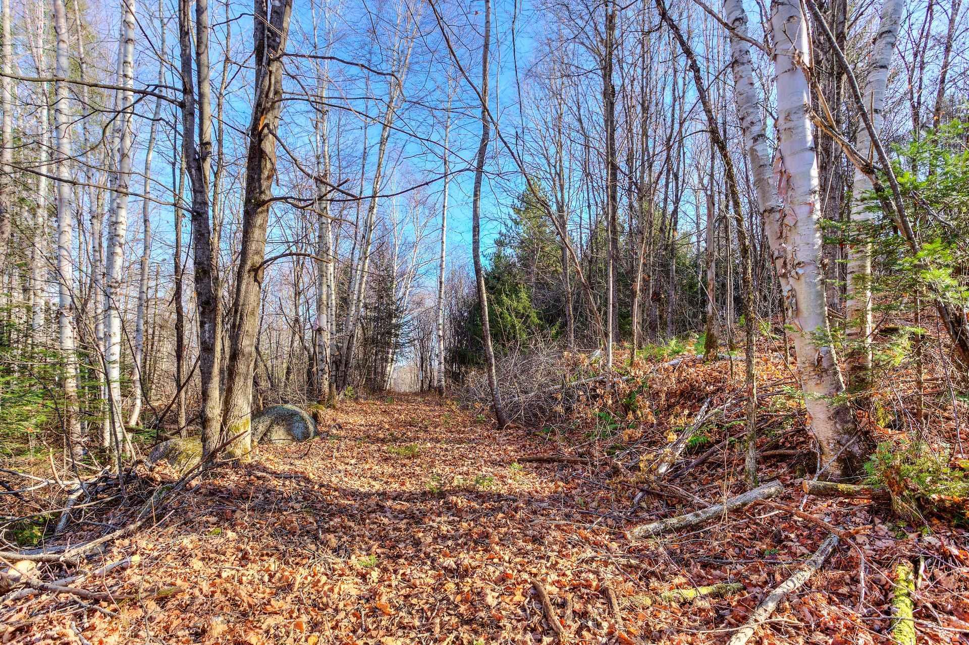 












Ch. des Hiboux

,
Mont-Blanc,







QC
J0T2G0

