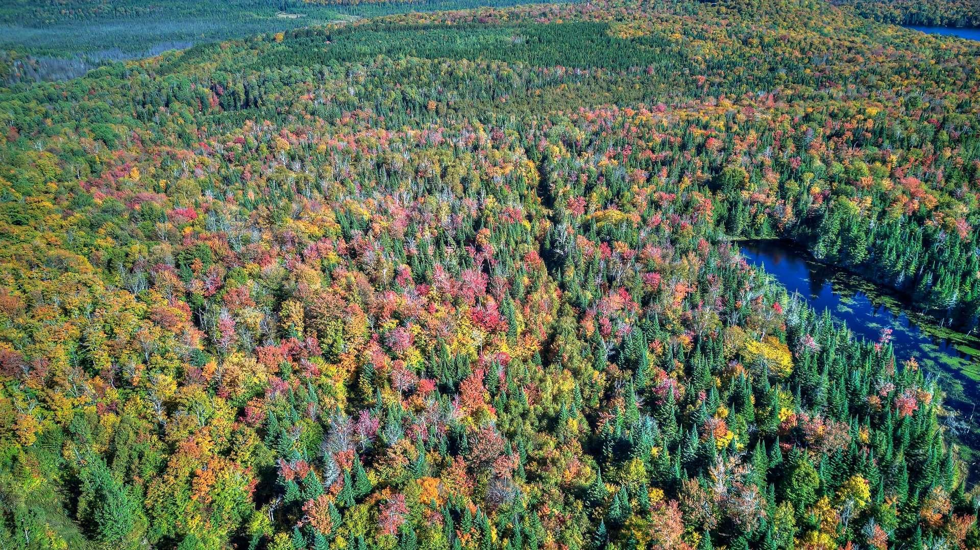 












Ch. des Hiboux

,
Mont-Blanc,







QC
J0T2G0

