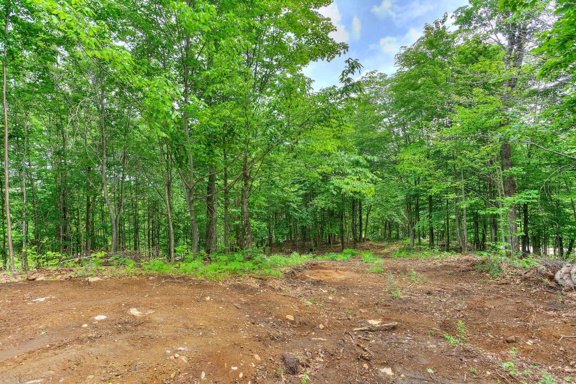 












Ch. des Hiboux

,
Mont-Blanc,







QC
J0T2G0

