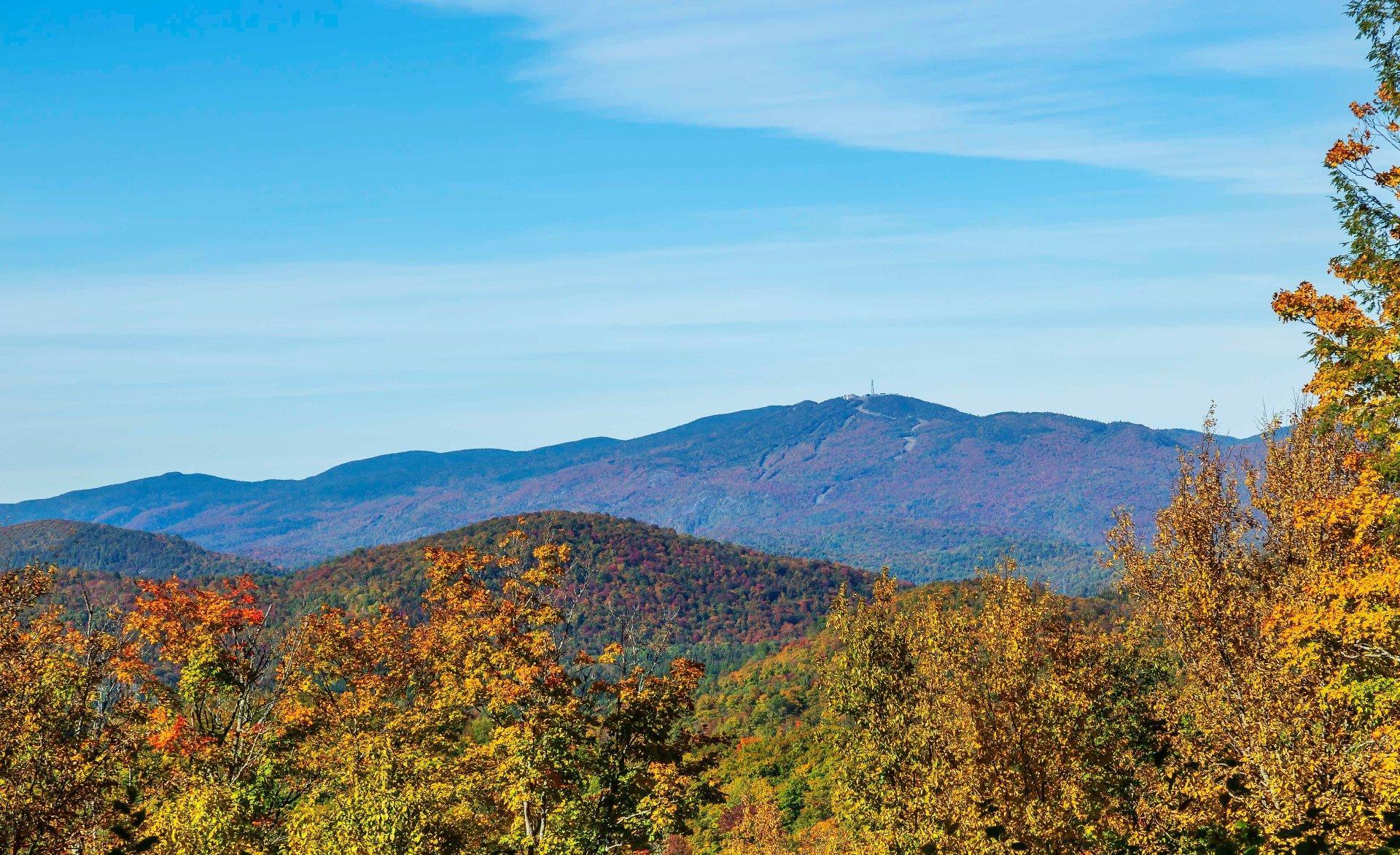 












Ch. des Hiboux

,
Mont-Blanc,







QC
J0T2G0

