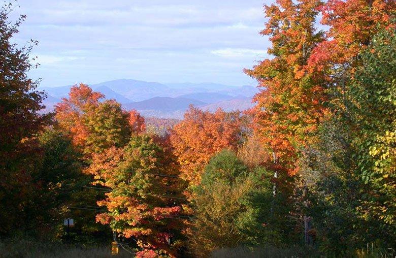 












Ch. des Hiboux

,
Mont-Blanc,







QC
J0T2G0

