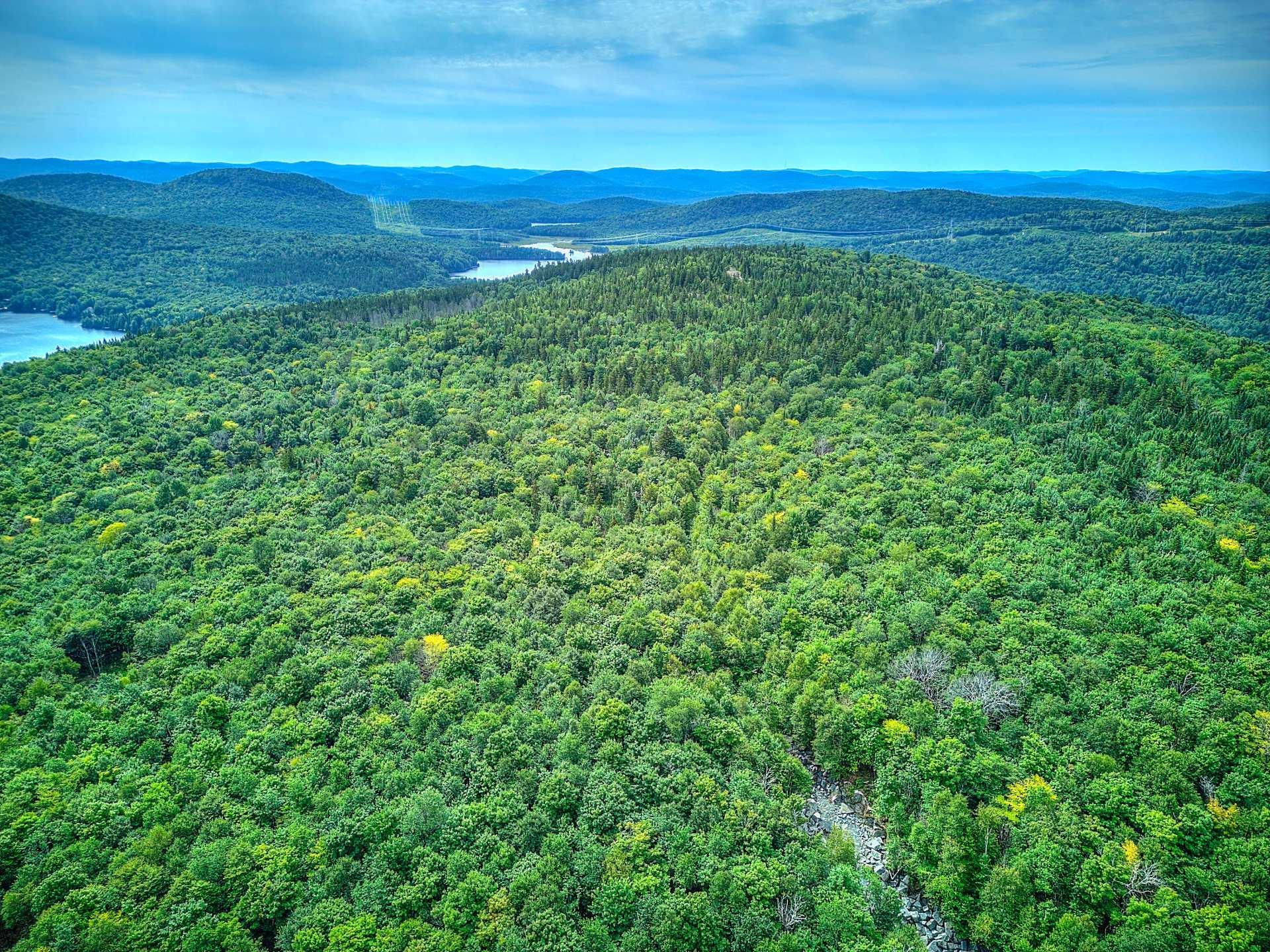 












Ch. des Hiboux

,
Mont-Blanc,







QC
J0T2G0

