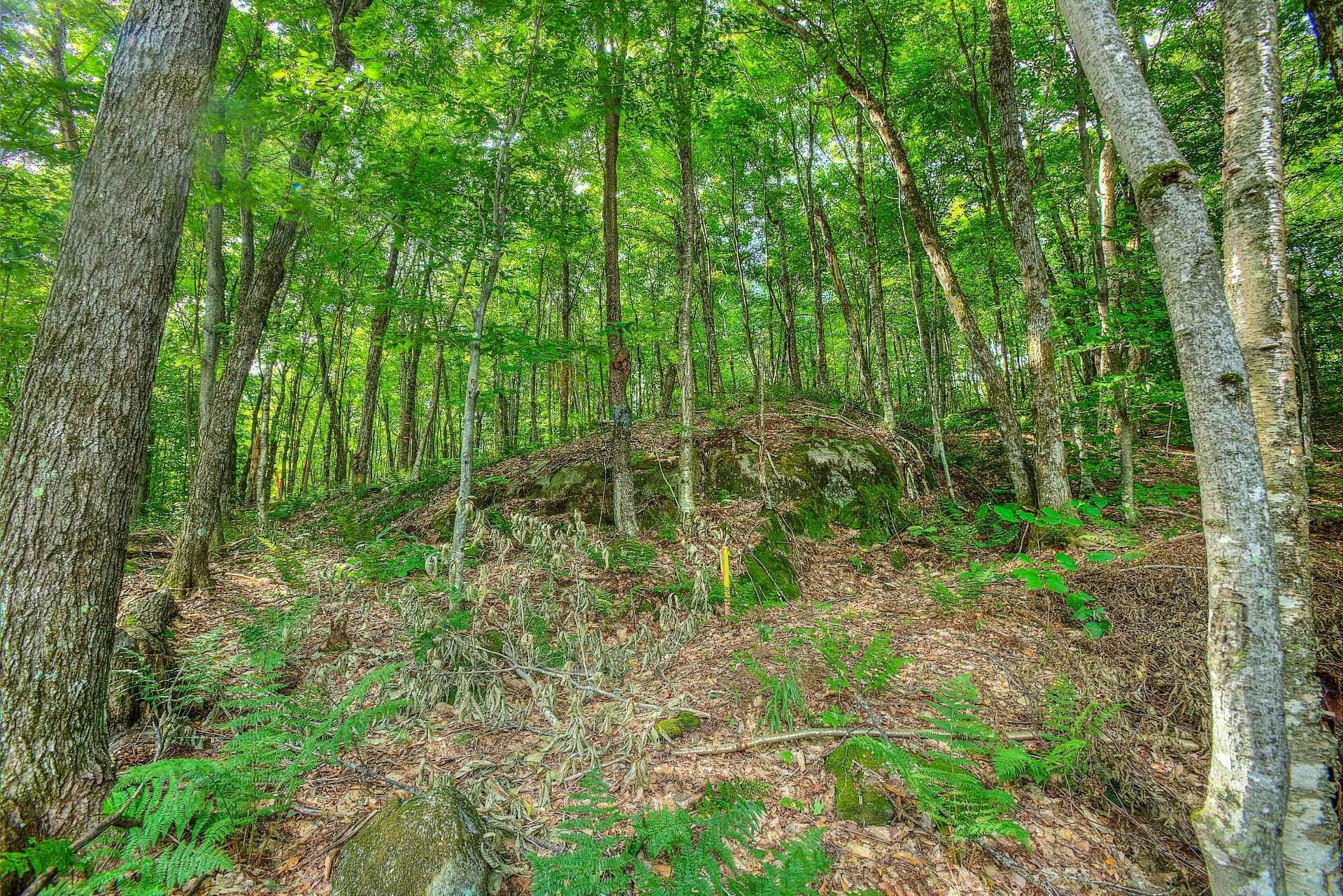 












Ch. des Hiboux

,
Mont-Blanc,







QC
J0T2G0

