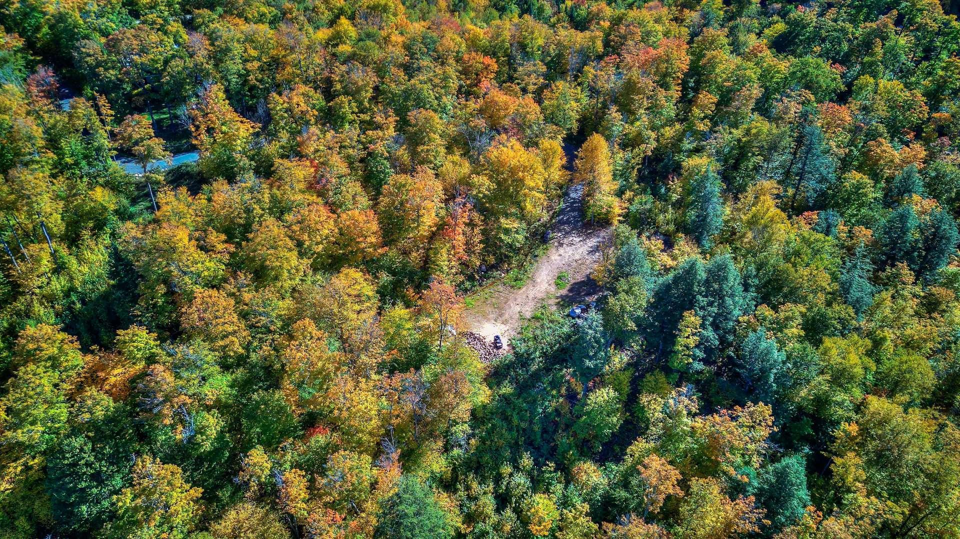 












Ch. des Pics-Verts

,
Mont-Blanc,







QC
J0T2G0

