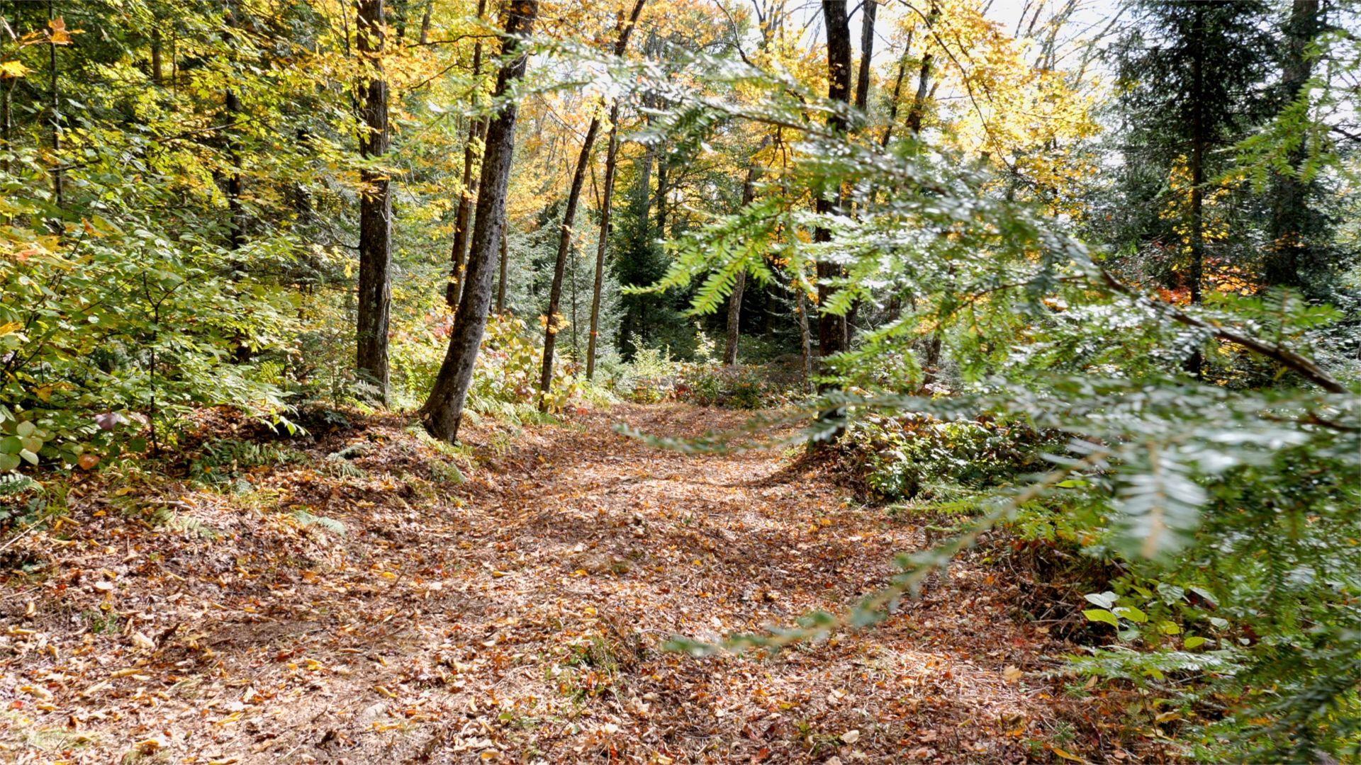 












Ch. des Pics-Verts

,
Mont-Blanc,







QC
J0T2G0

