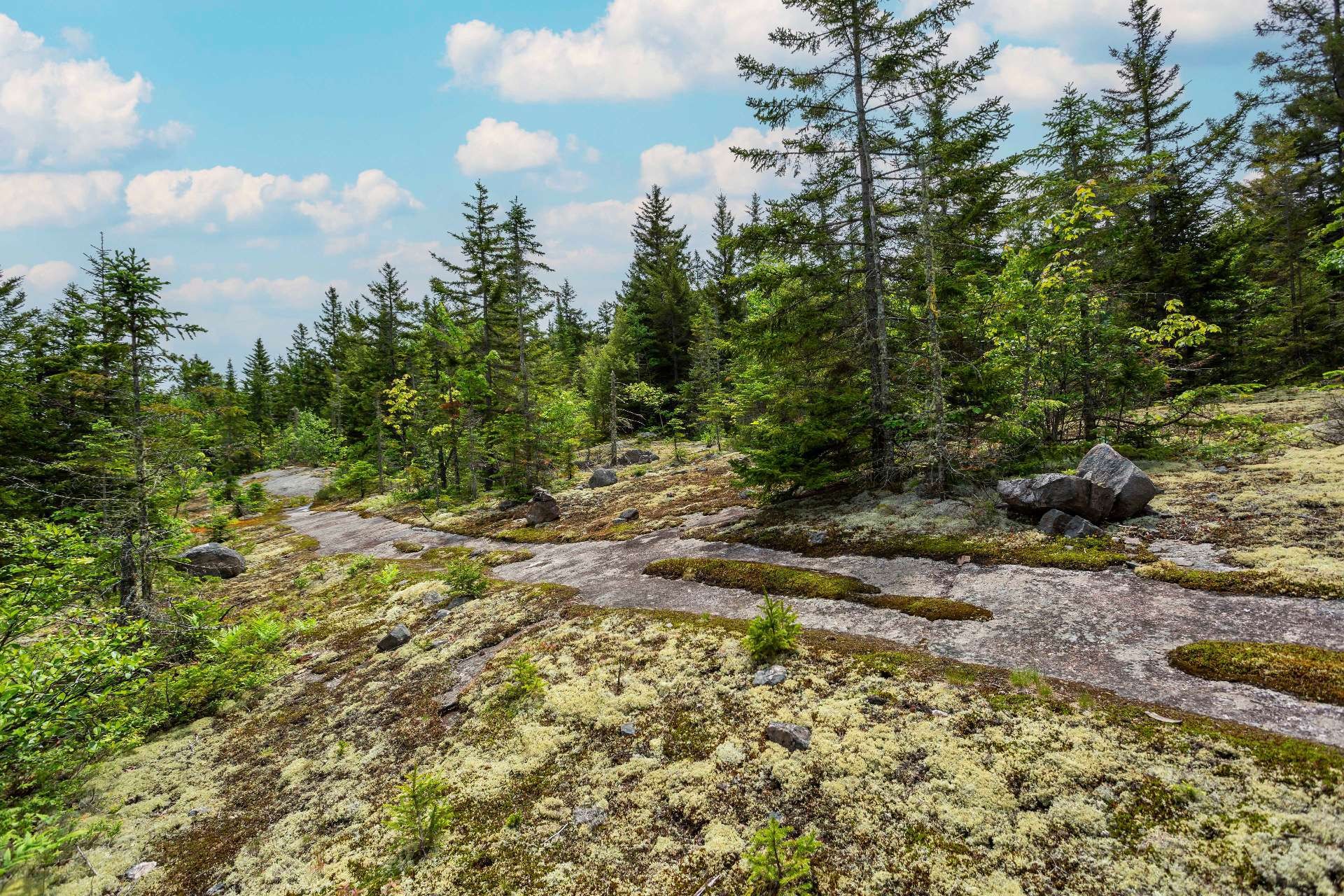 












Ch. des Pics-Verts

,
Mont-Blanc,







QC
J0T2G0


