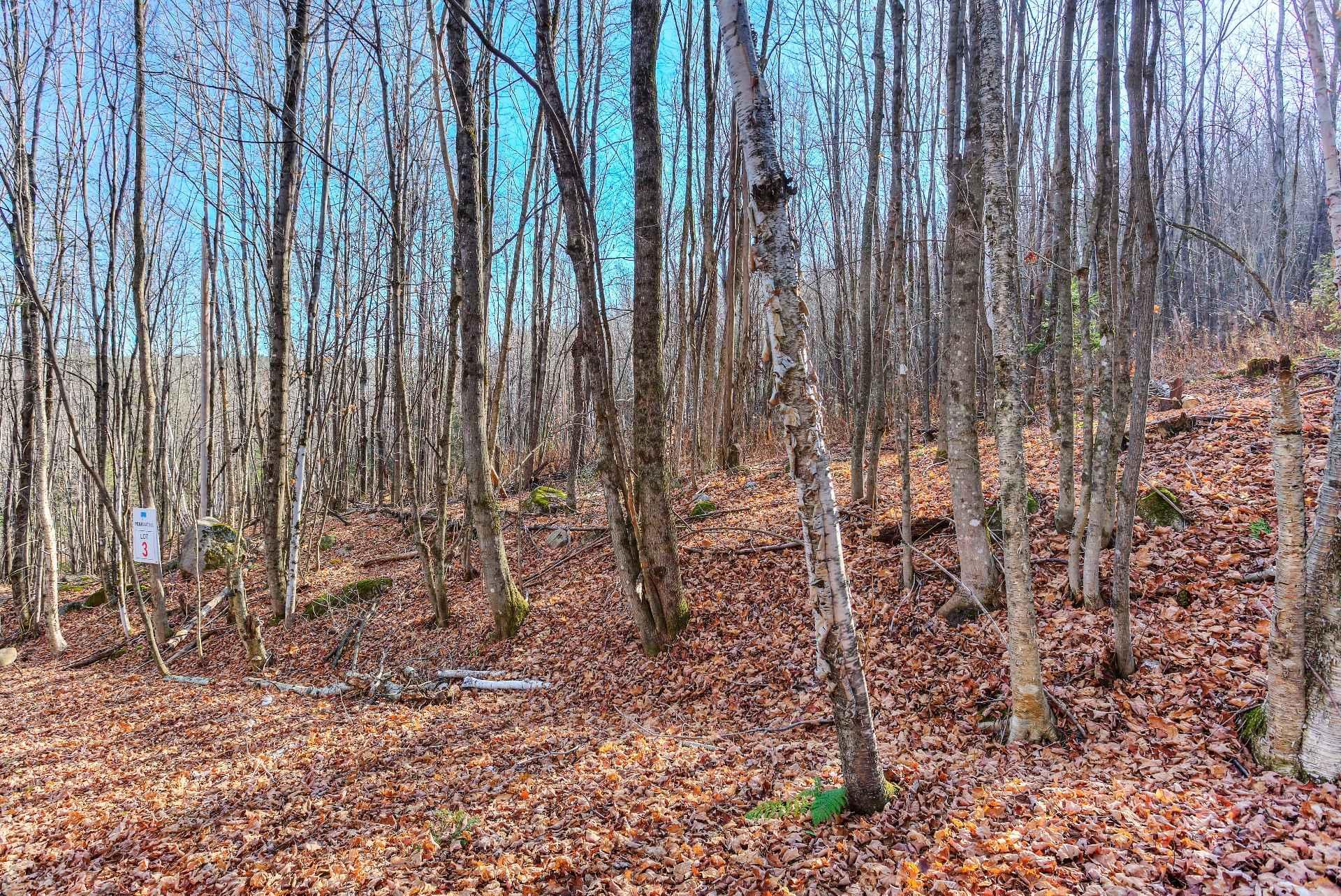 












Ch. des Alouettes

,
Mont-Blanc,







QC
J0T2G0

