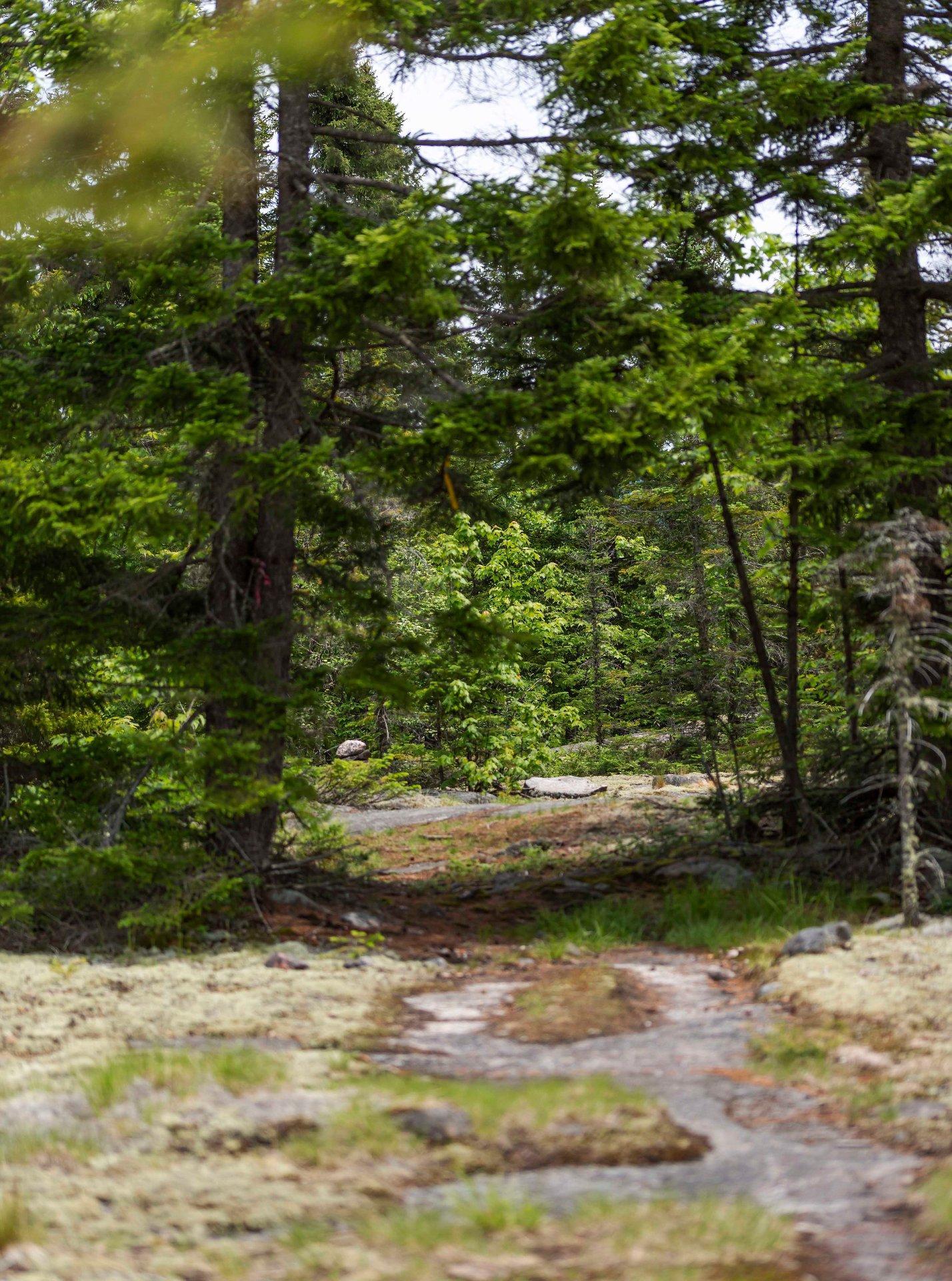 












Ch. des Alouettes

,
Mont-Blanc,







QC
J0T2G0

