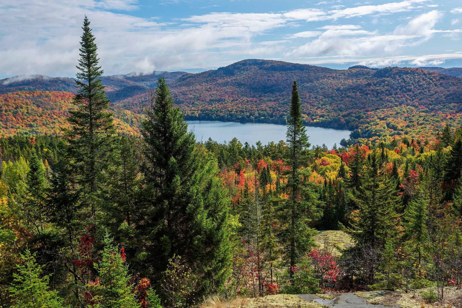 












Ch. des Faucons

,
Mont-Blanc,







QC
J0T2G0

