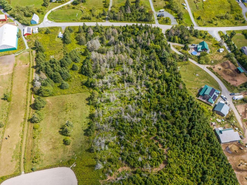 












Lot 1 Conrod Road

,
Grand Desert,







NS
B0J 2L0

