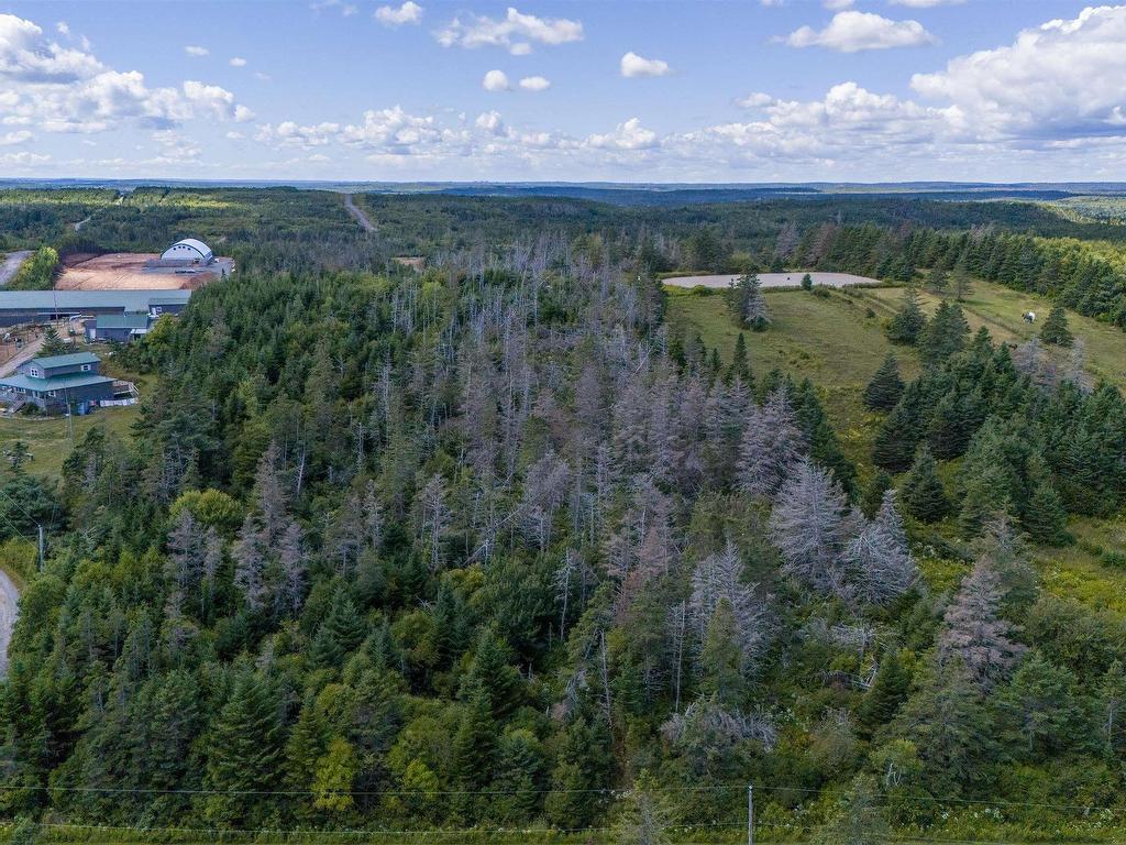 












Lot 1 Conrod Road

,
Grand Desert,







NS
B0J 2L0

