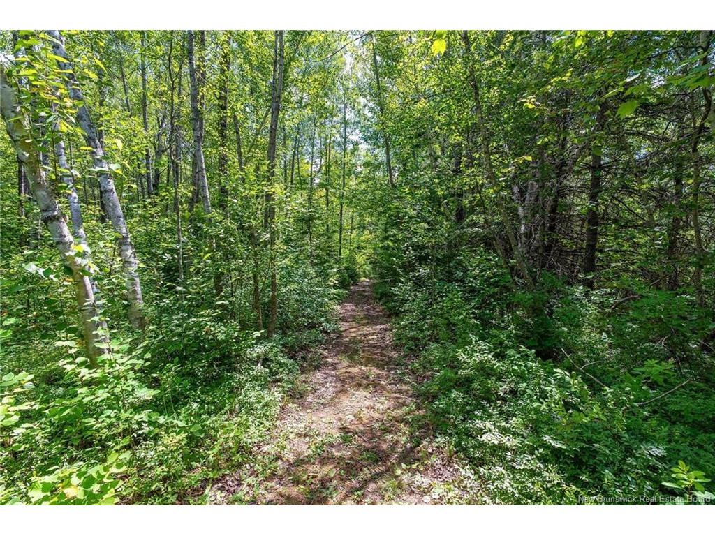 









3527


510

RTE,
Fords Mills,




NB
E4T 1X4


