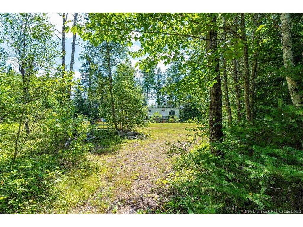 









3527


510

RTE,
Fords Mills,




NB
E4T 1X4

