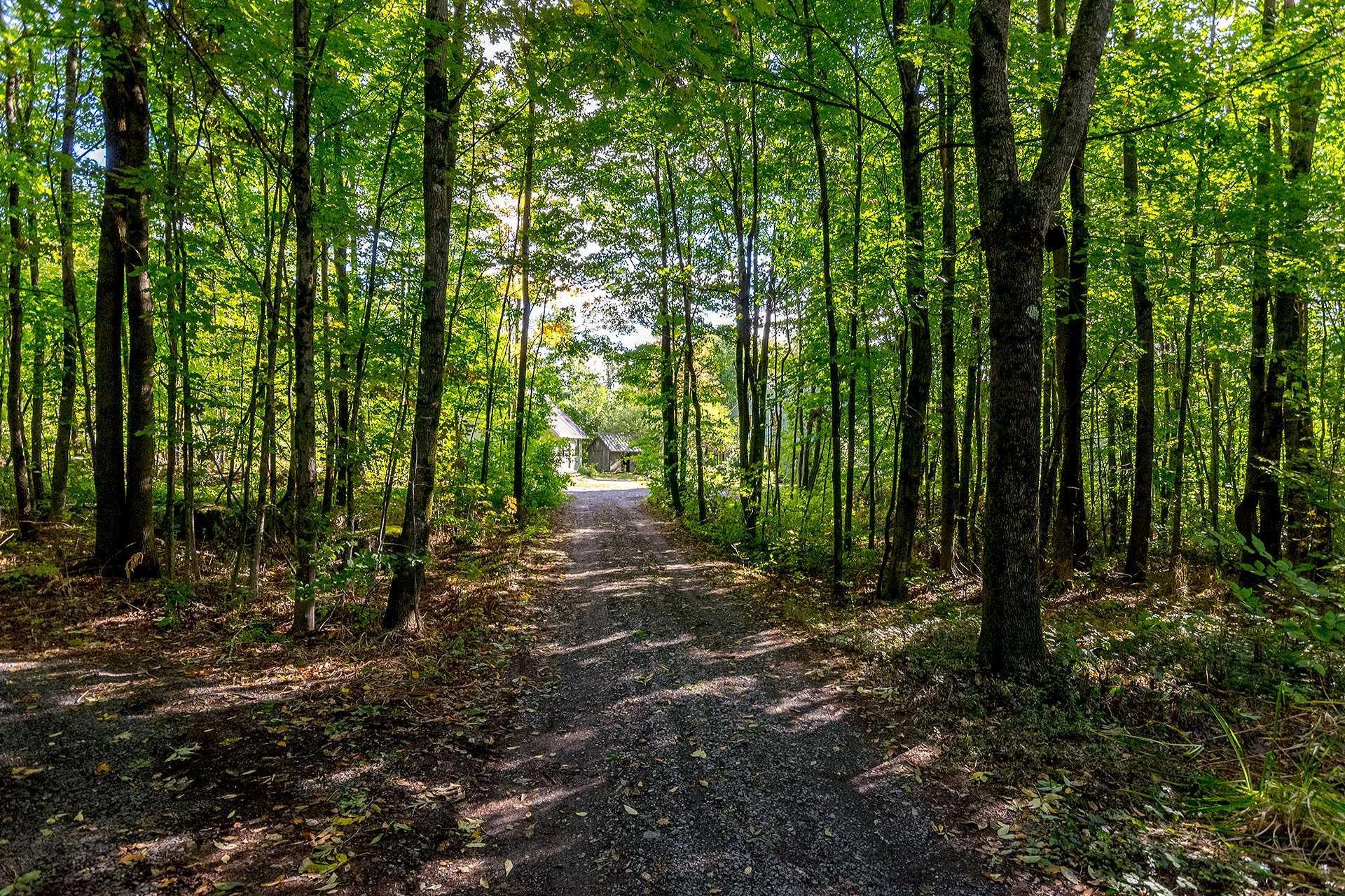 









87


Ch. Fairmount

,
Lac-Brome,




QC
J0E1V0

