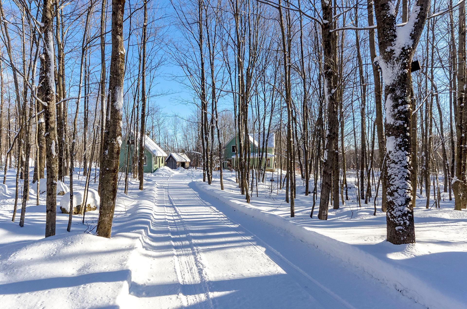 









87


Ch. Fairmount

,
Lac-Brome,




QC
J0E1V0

