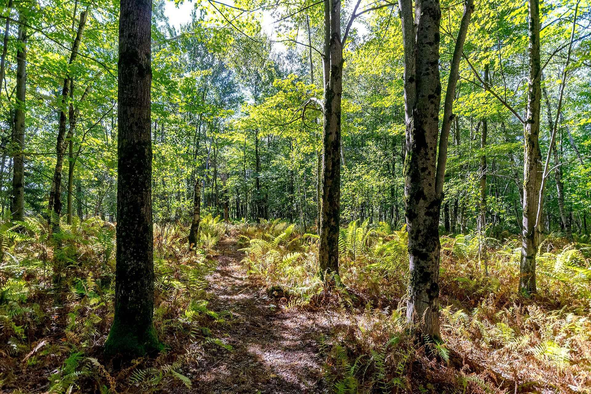 









87


Ch. Fairmount

,
Lac-Brome,




QC
J0E1V0

