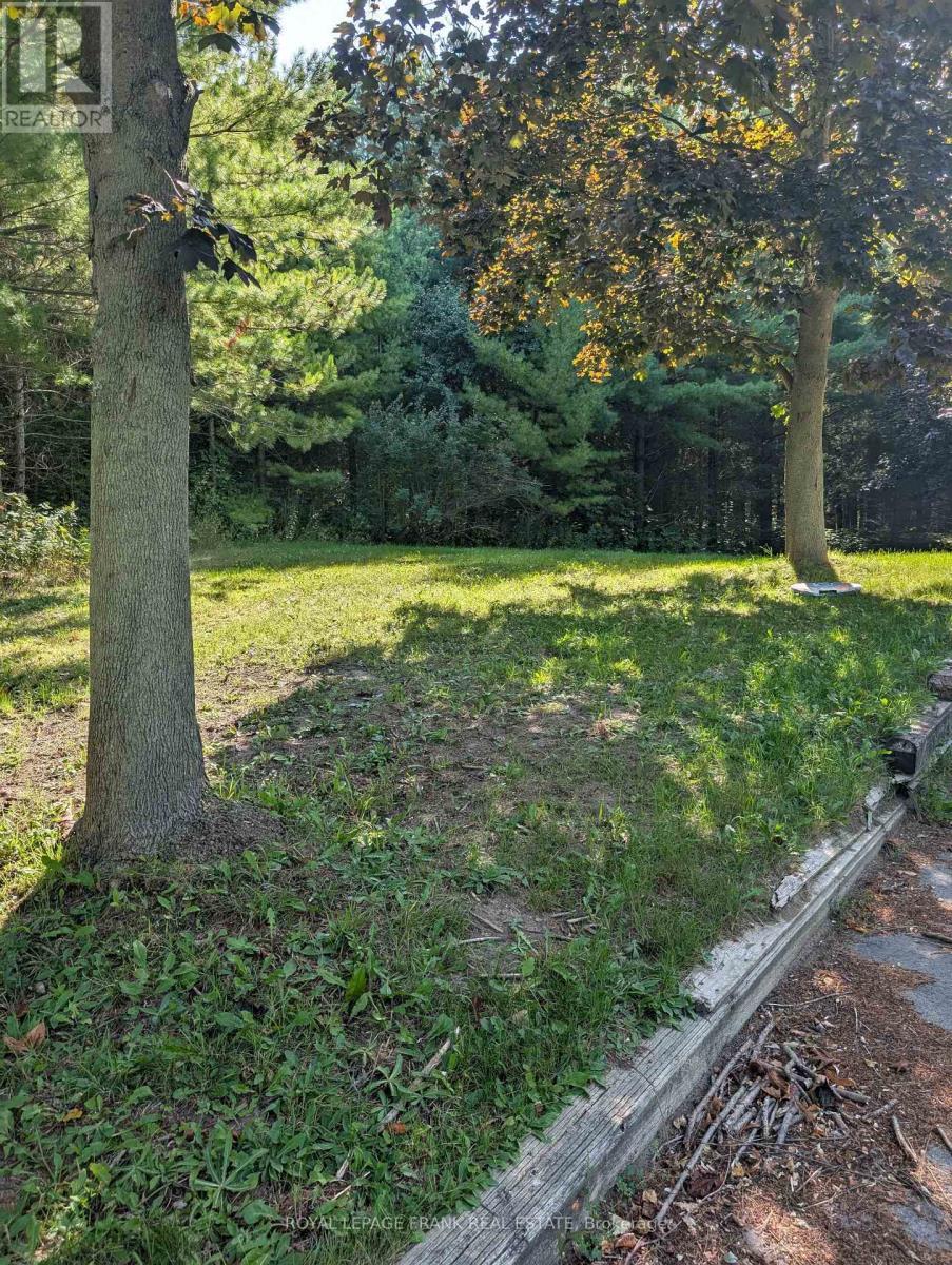 












BASEMENT - 8537 DALE ROAD

,
Hamilton Township,




Ontario
K9A0T5

