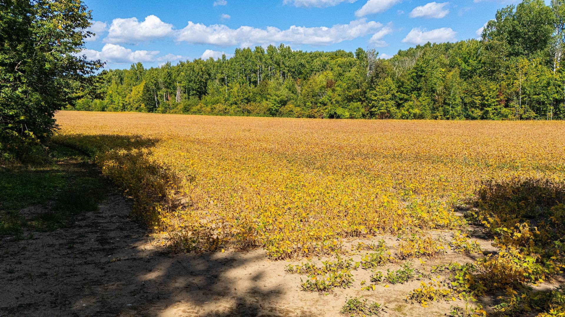 












Route Principale

,
Très-Saint-Rédempteur,







QC
J0P1P1

