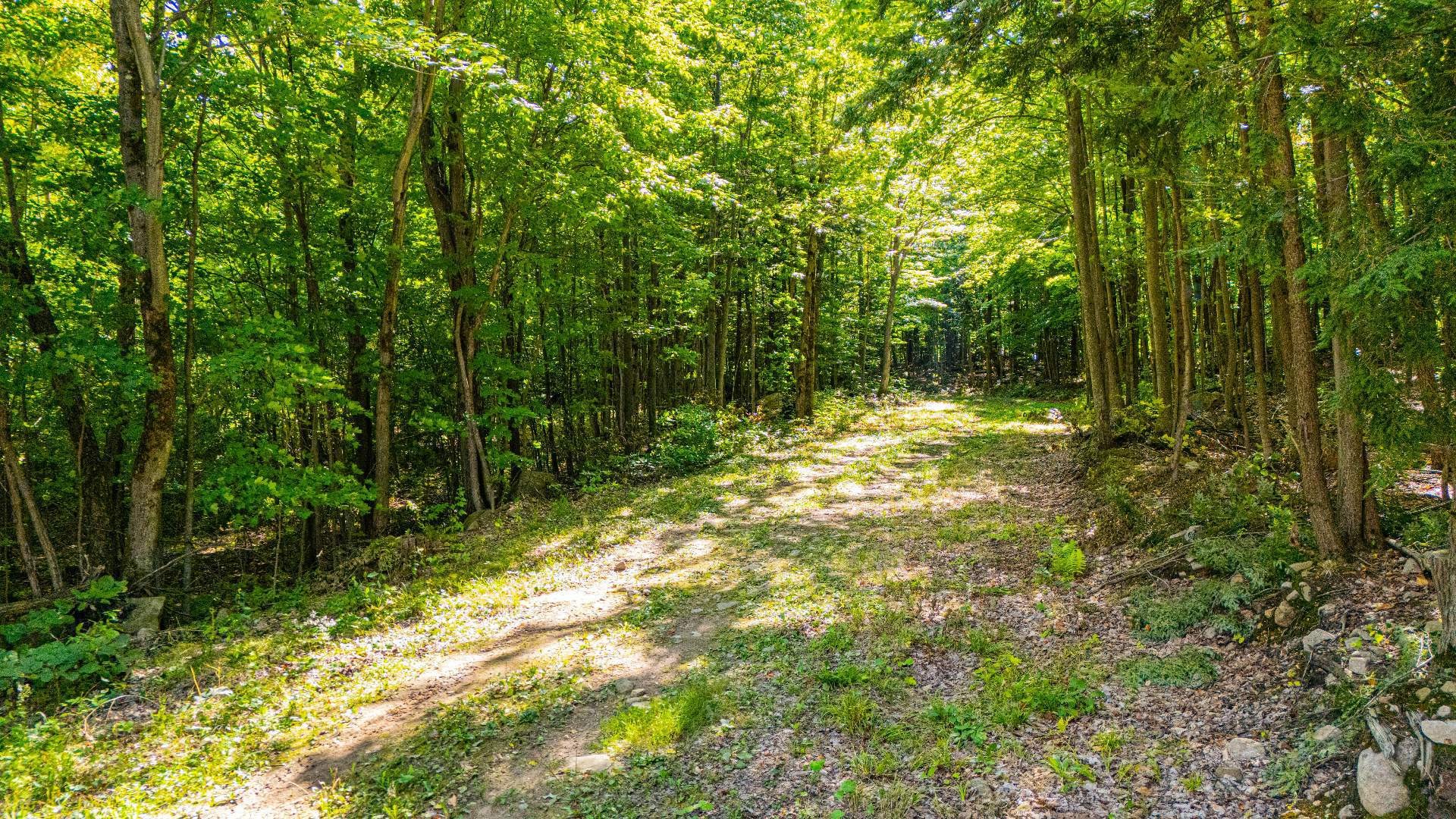 












Route Principale

,
Très-Saint-Rédempteur,







QC
J0P1P1

