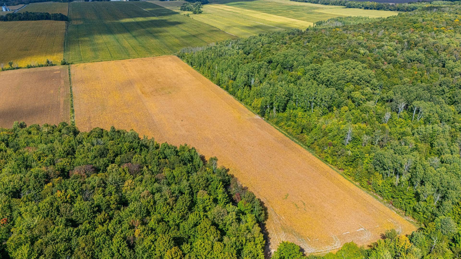












Route Principale

,
Très-Saint-Rédempteur,







QC
J0P1P1

