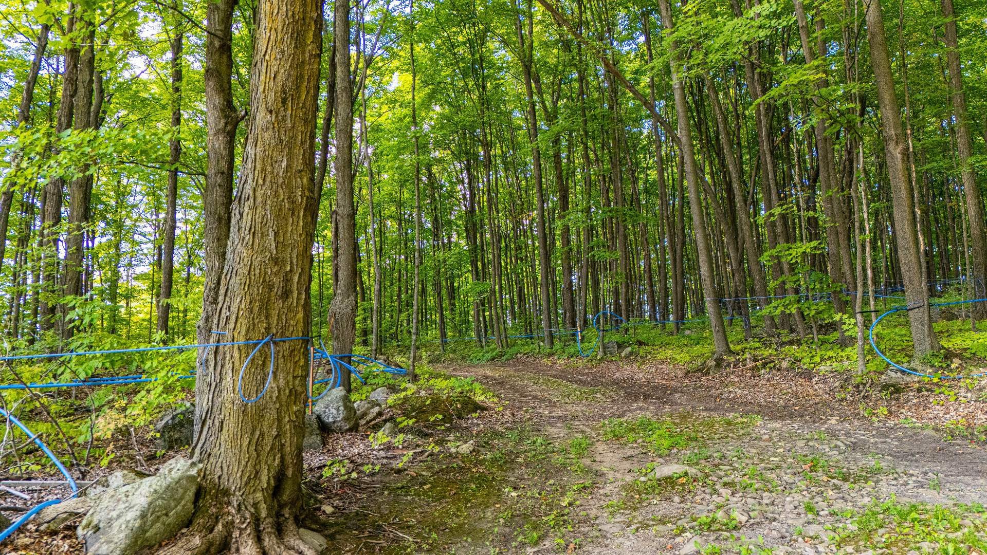 












Route Principale

,
Très-Saint-Rédempteur,







QC
J0P1P1

